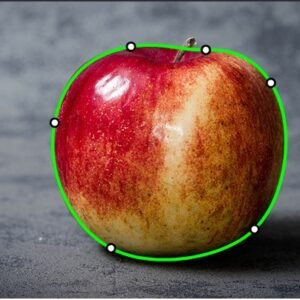 Cuckoo Clock for Wall Art: 12 Melodies, Volume Control, Night Mode, Germany Style Black Forest Retro Traditional Handcrafted Wooden House Home Decor, Gifts for Family (8.75 X 23inch)